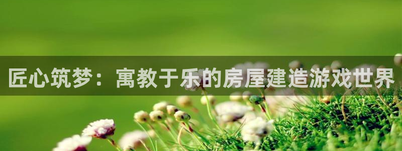 安信证券 12位：匠心筑梦：寓教于乐的房屋建造游戏世界