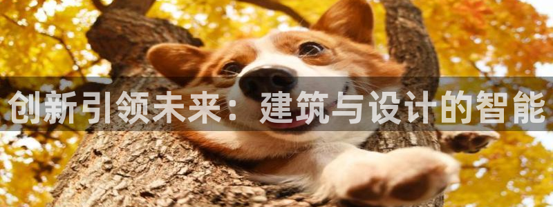 安信可 esp-12：创新引领未来：建筑与设计的智能