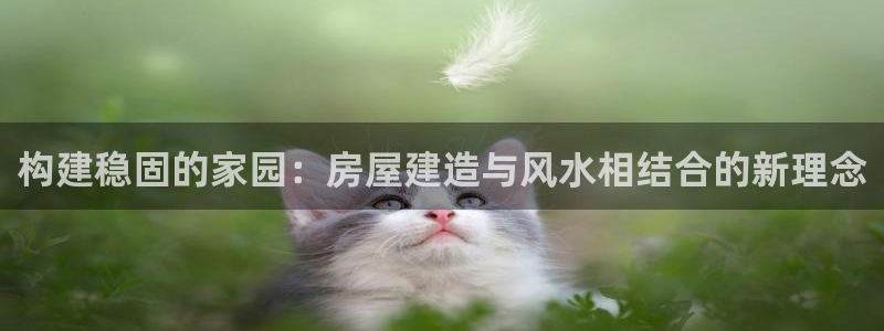 安信12：构建稳固的家园：房屋建造与风水相结合的新理念