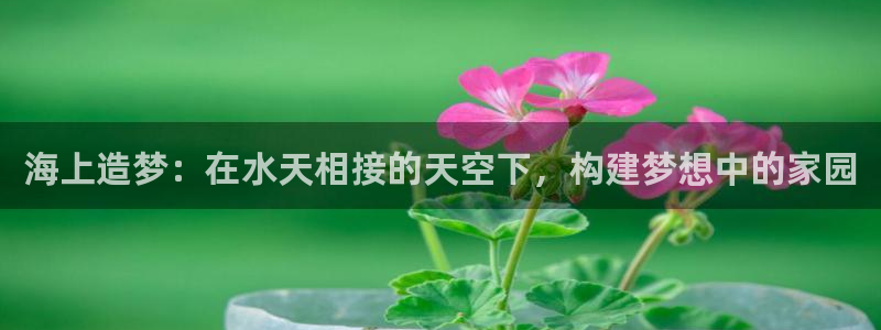 安信cwa12：海上造梦：在水天相接的天空下，构建梦想中的家园