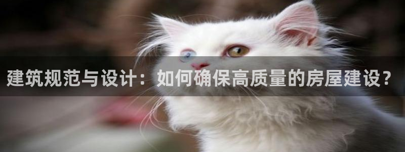 安信卓越12月：建筑规范与设计：如何确保高质量的房屋建设？