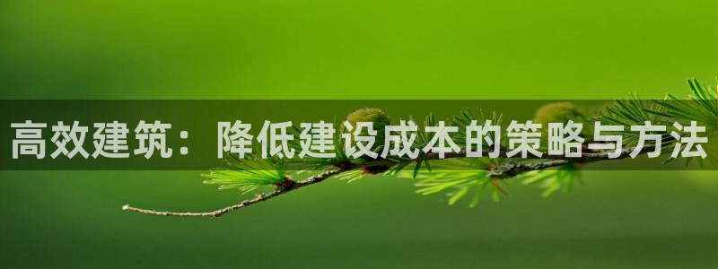 安信12下载：高效建筑：降低建设成本的策略与方法