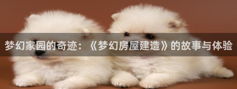 安信12级：梦幻家园的奇迹：《梦幻房屋建造》的故事与体验